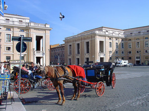 Także według Berniniego  2010  13