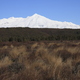 Tongariro