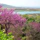 Butrint, Albania