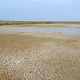 Secovlje saliny - ziemia spękana od soli