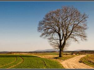 Pejzaż