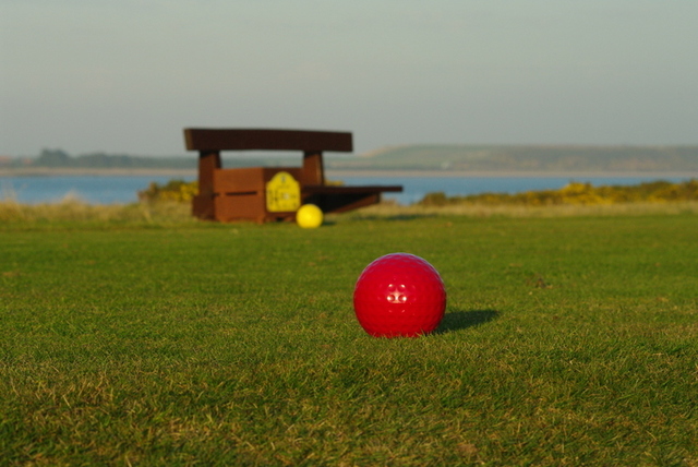 na polu golfowym...