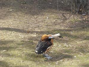 i znów zoo :)