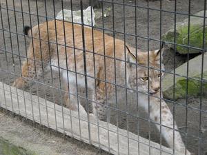 i znów zoo :)