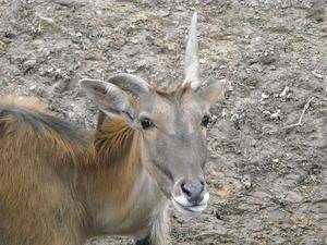 i znów zoo :)