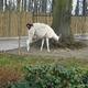 i znów zoo :)