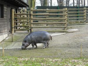 i znów zoo :)