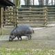 i znów zoo :)
