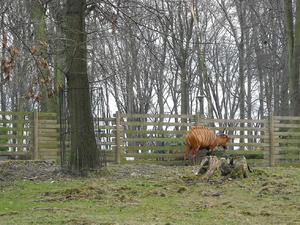 i znów zoo :)