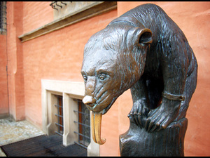 Rynek