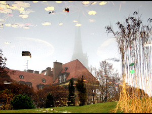 Ogród Botaniczny