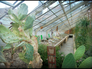 Ogród Botaniczny
