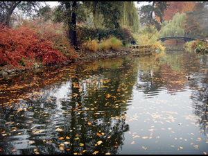 Ogród Botaniczny