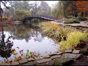 Ogród Botaniczny