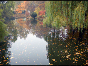 Ogród Botaniczny