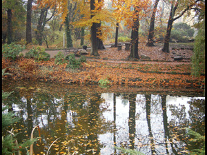 Ogród Botaniczny