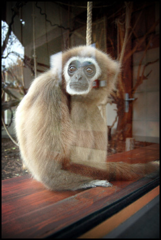 Wrocławskie ZOO