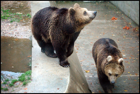 Wrocławskie ZOO