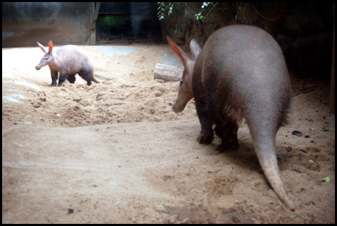 Wrocławskie ZOO