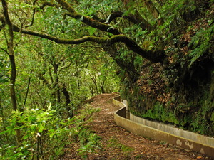 Levada do Furado