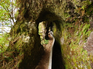 Levada do Furado