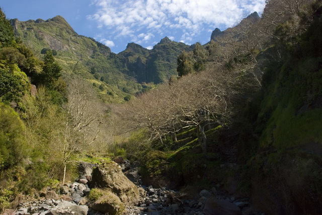 górna część doliny Curral das Freiras
