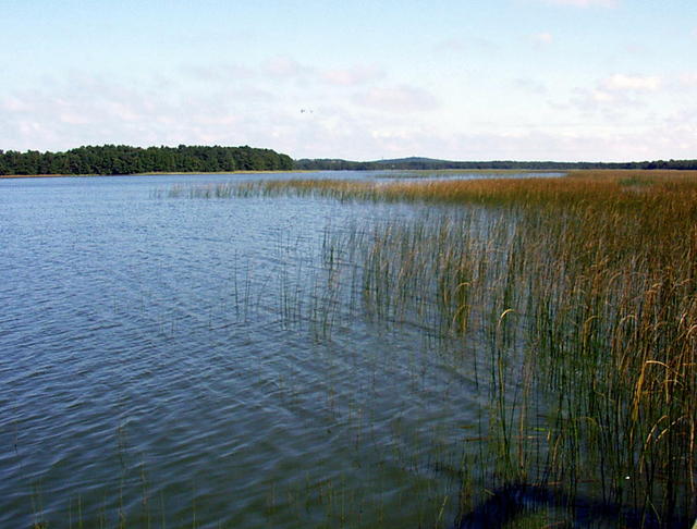 jezioro Dołgie