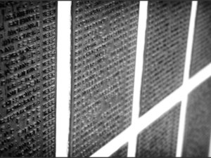Cmentarz Rakowicki 2009 - 50mm