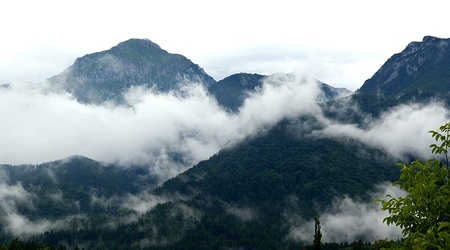 Tupalice mgły u stóp Alp Kamnickich