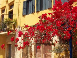 Chania, Kreta, Grecja