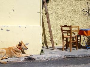 Chania, Kreta, Grecja