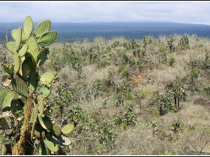 Ecuador 3136