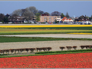 Lisse-Keukenhof 094