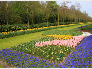 Lisse-Keukenhof 050