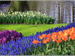 Lisse-Keukenhof 124