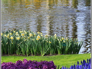 Lisse-Keukenhof 126