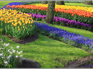 Lisse-Keukenhof 128