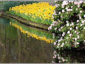 Lisse-Keukenhof 158