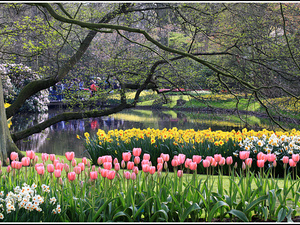 Lisse-Keukenhof 170