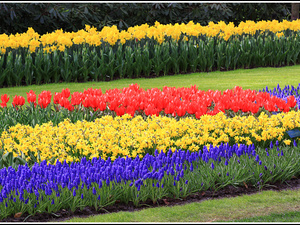 Lisse-Keukenhof 172