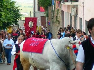 261986 - Abruzja Troche wszystkiego mieszanka