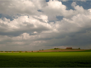 Zawidowskie klimaty wiosenne 