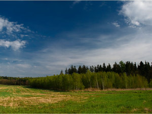 Zawidowskie klimaty wiosenne 