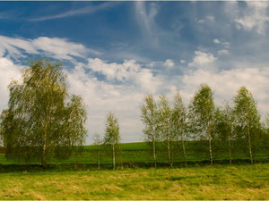 Zawidowskie klimaty wiosenne 