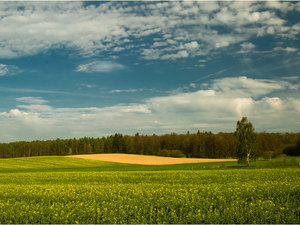 Zawidowskie klimaty wiosenne 