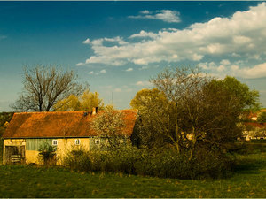 Zawidowskie klimaty wiosenne 