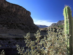 kanion Colca