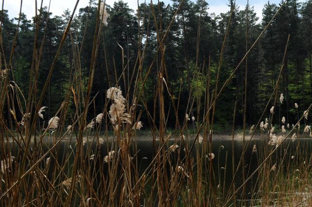 Roztoczański Park Narodowy