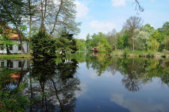 Staw przy kościółku