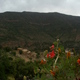 chatki berberskie